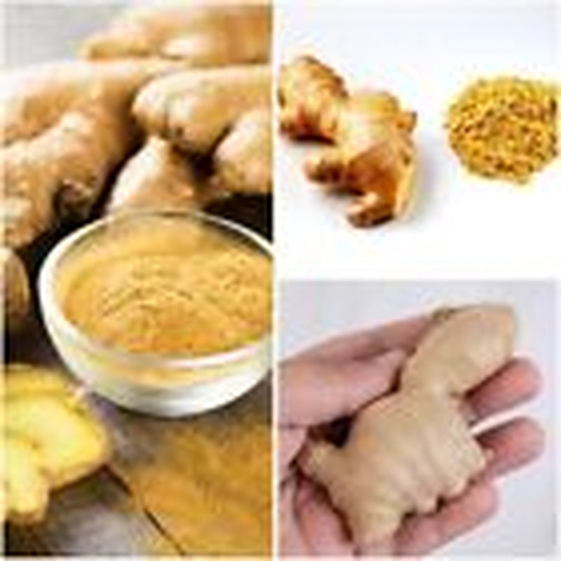 Ginger Root Powder 100% Pure Natural Premium Quality Ceylon Spice a Quality