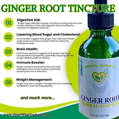 Ginger Root Tincture Organic Liquid Herbal Drops 2 FL OZ Natural Nausea Relief