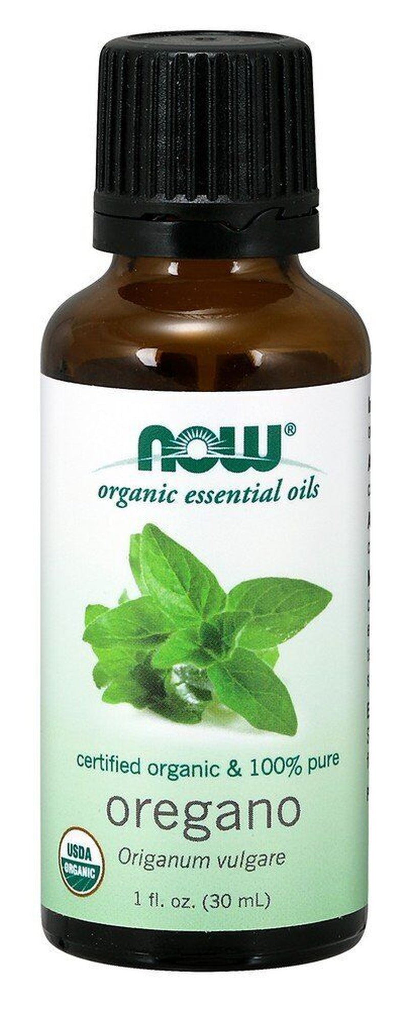 Organic Oregano Oil 1 Fl Oz Oil