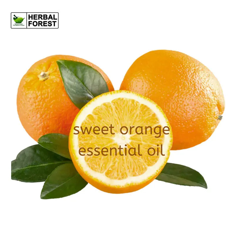 Sweet Orange Essential Oil Moisturizing Skin Pure Nature for Aromatherapy Used for Diffuser Humidifier Massage Fresh Air