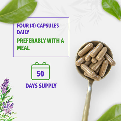 Skullcap Capsules | 1000Mg | 200 Count | Support Overall Health