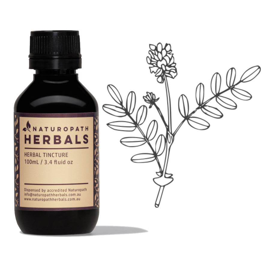 ASTRAGALUS Tincture Extract Herbal Liquid ⭐⭐⭐⭐⭐~ Naturopath Herbals