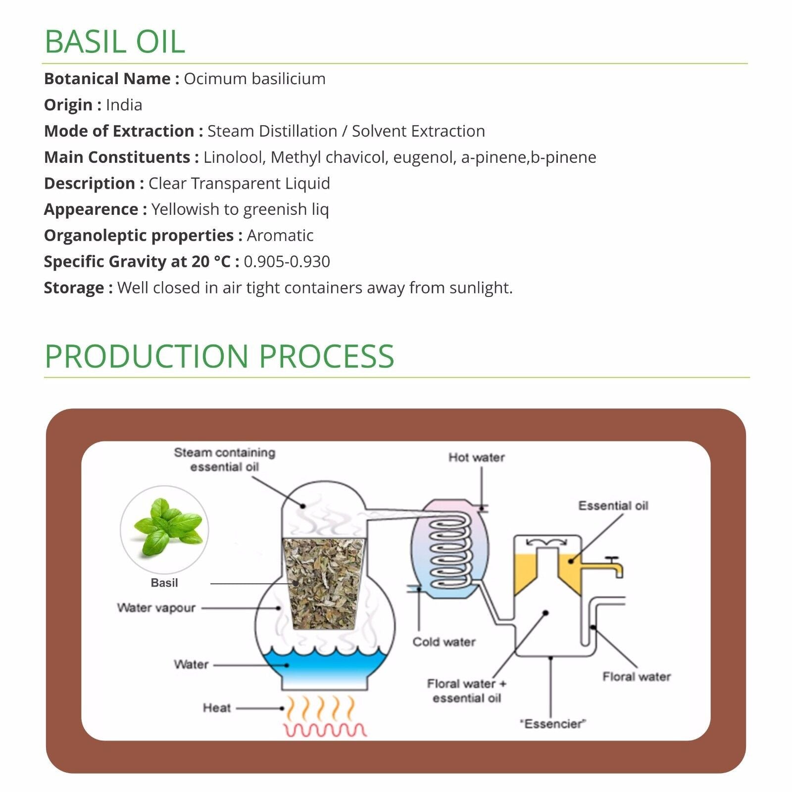 Basil (Ocimum Basilicum) 100% Pure & Natural Essential Oil - [10Ml-5000Ml].