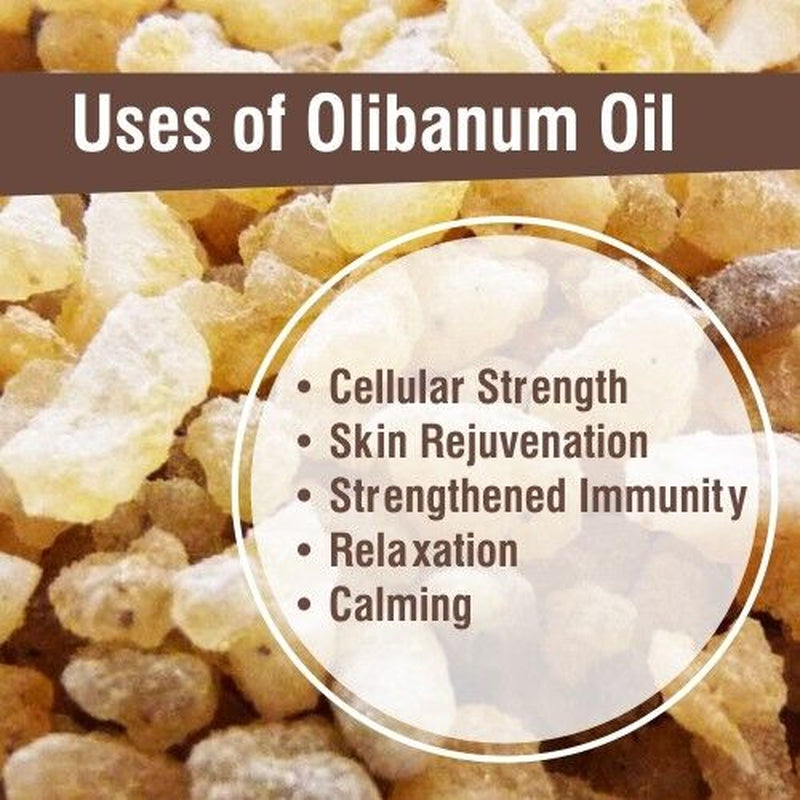 Olibanum (Boswellia Serrata) 100% Pure & Natural Essential Oil - [10Ml - 25 L].