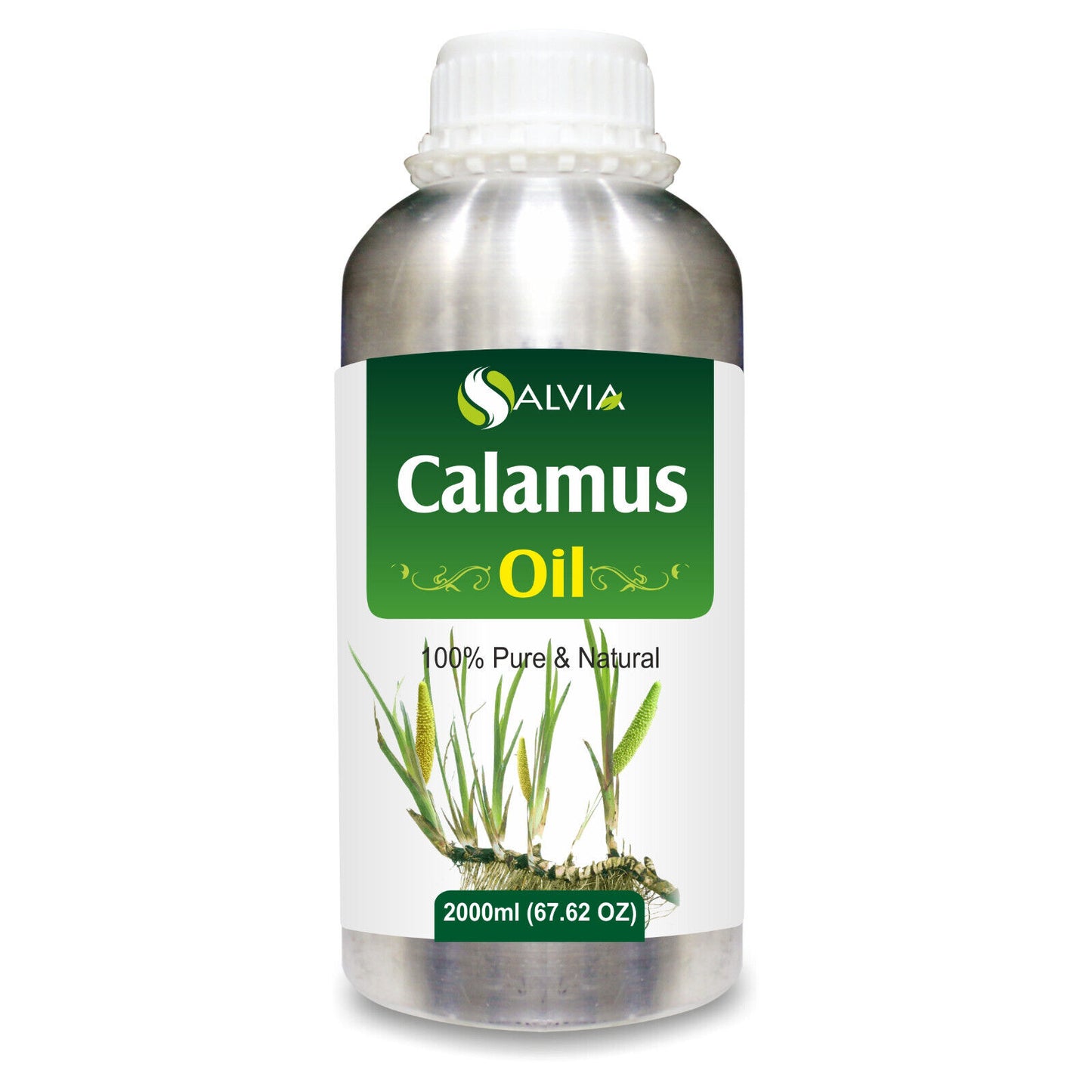 Calamus (Acorus Calamus) - 100% Pure & Natural Essential Oil - [10Ml - 25 L].