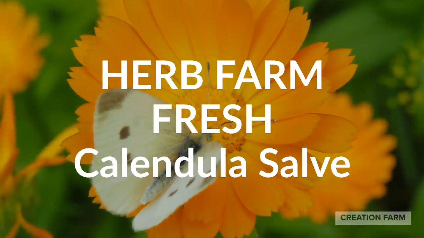 Calendula Herbal Salve from Creation Farm