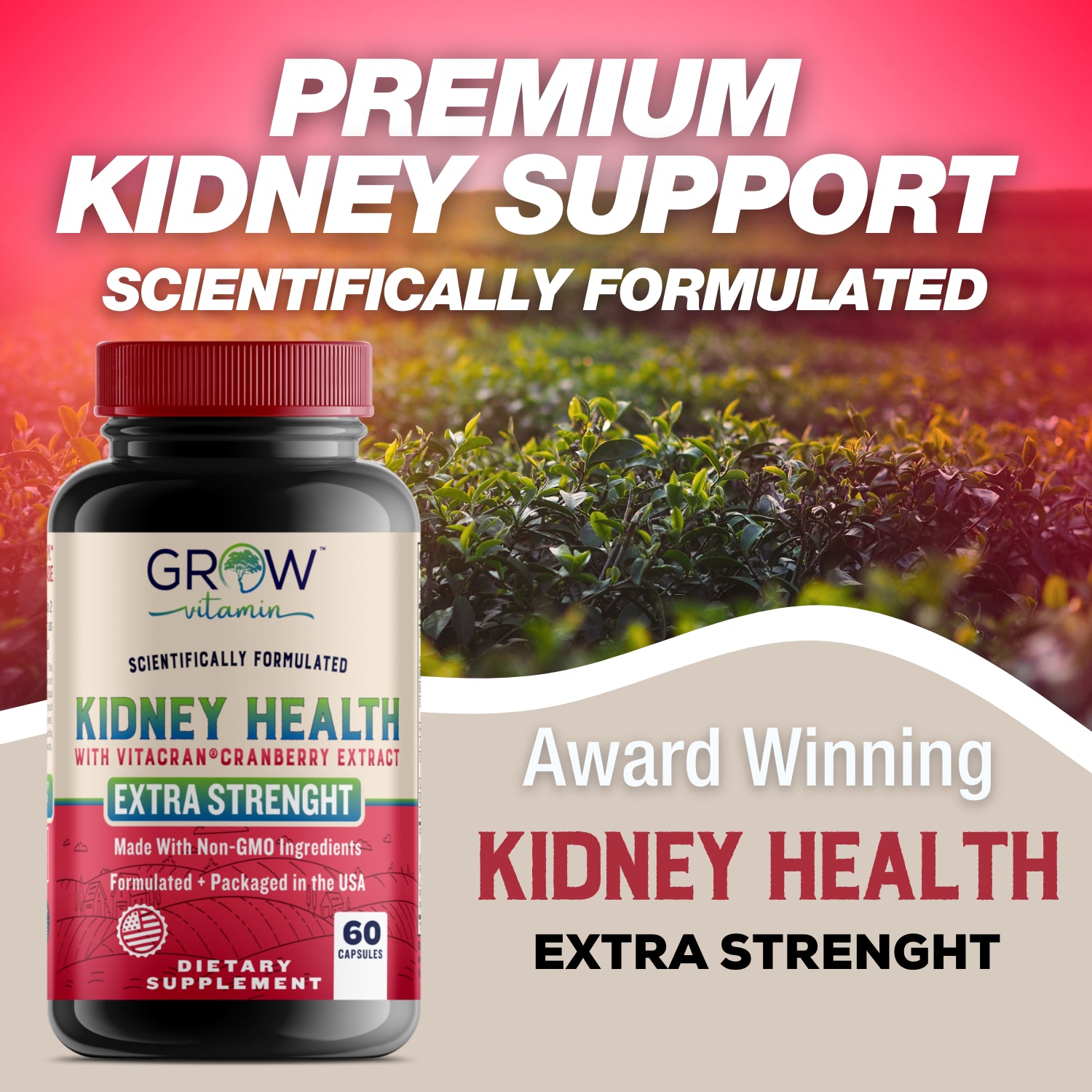 Organic Kidney Support- Herbal Natural Non-Gmo Repair & Cleanse Supplement