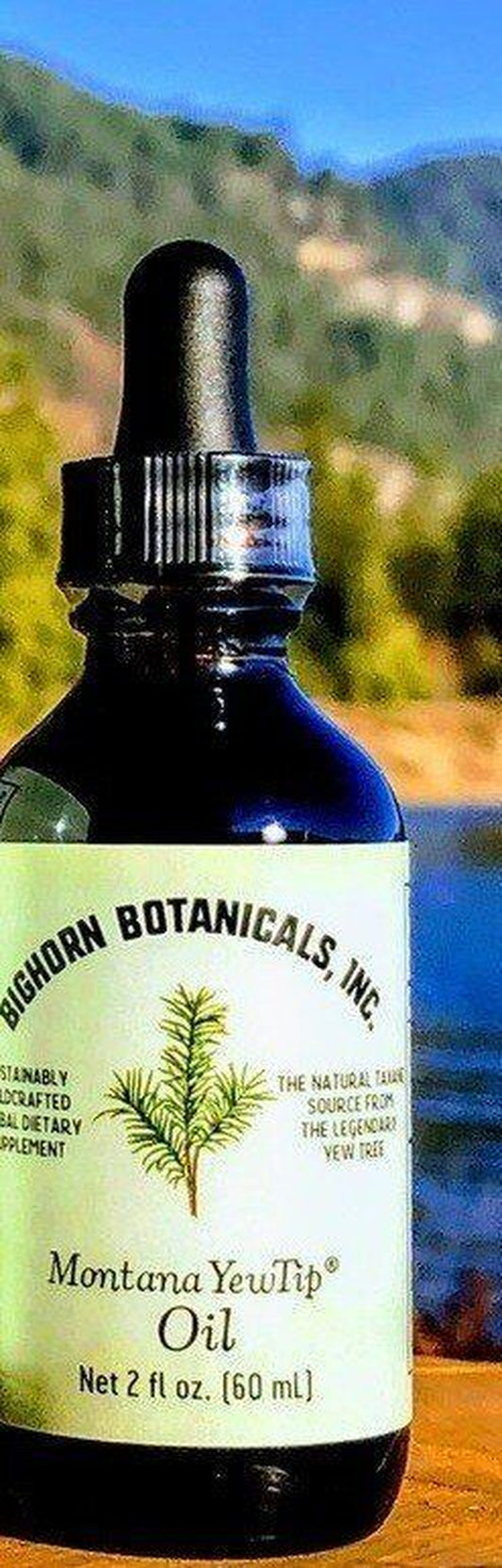 Bighorn Botanicals Montana Yew Oil 2.1 Fl Oz Dropper