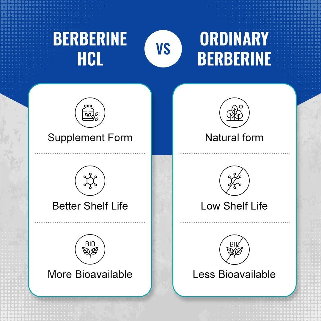 Berberine Hcl - Supports Healthy Blood Sugar Cholesterol & Immune | 60 Capsules