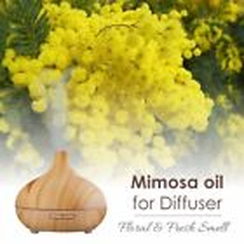 Salvia Mimosa Seed (Acacia Decurrens) Pure & Natural Essential Oil - 15Ml