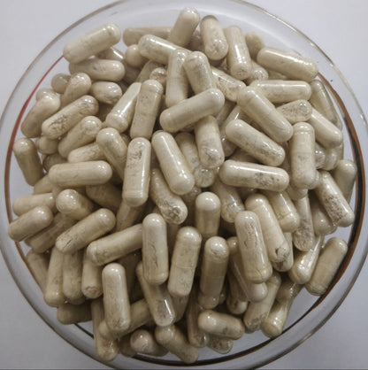 Horse Chestnut Extract Capsules 20% Aescin VARICOSE CONTROL SPIDER VEINS