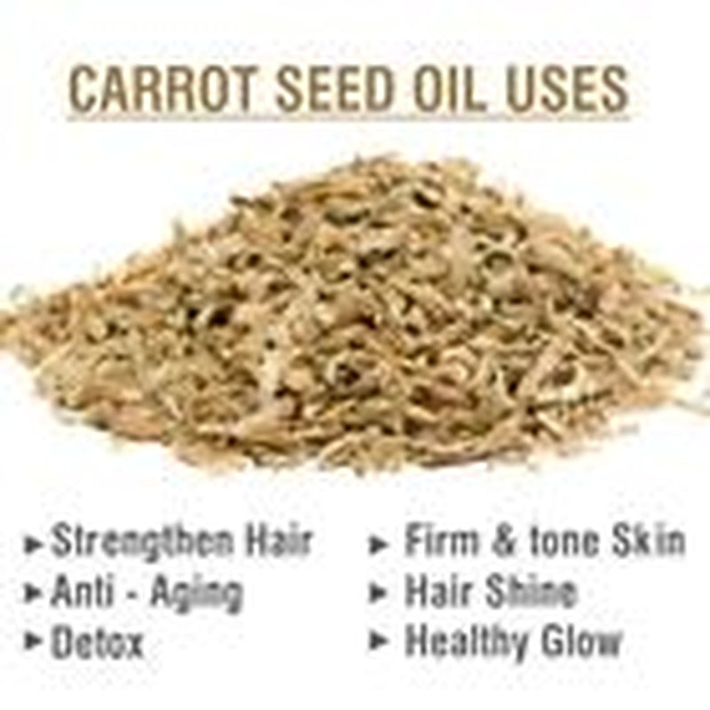 Carrot Seed (Daucus Carota L) 100% Pure & Natural Essential Oil - [10Ml-5000Ml]