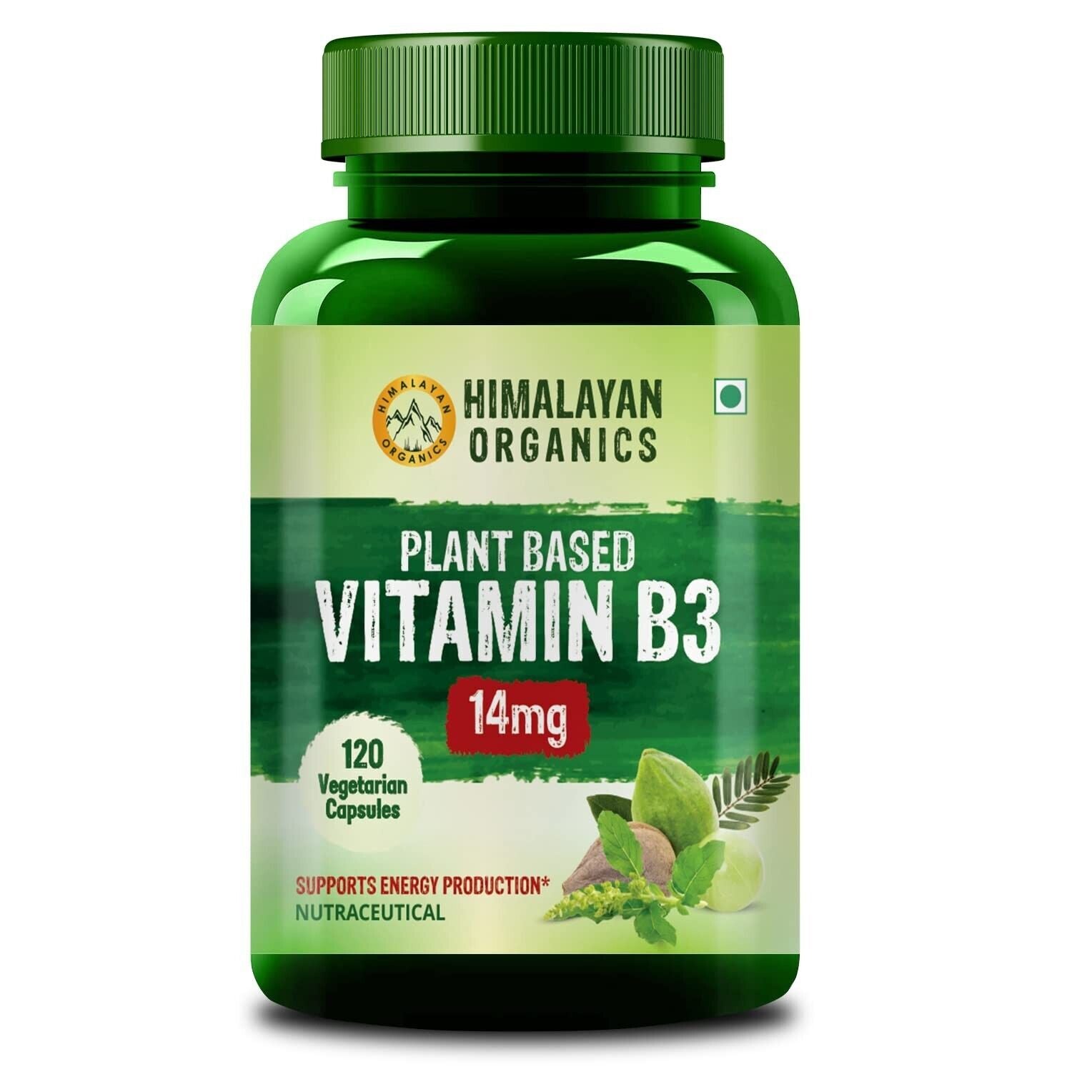 Organic Plant Based Vitamin B3 Supports Healthy Skin and Heart 120 Capsules