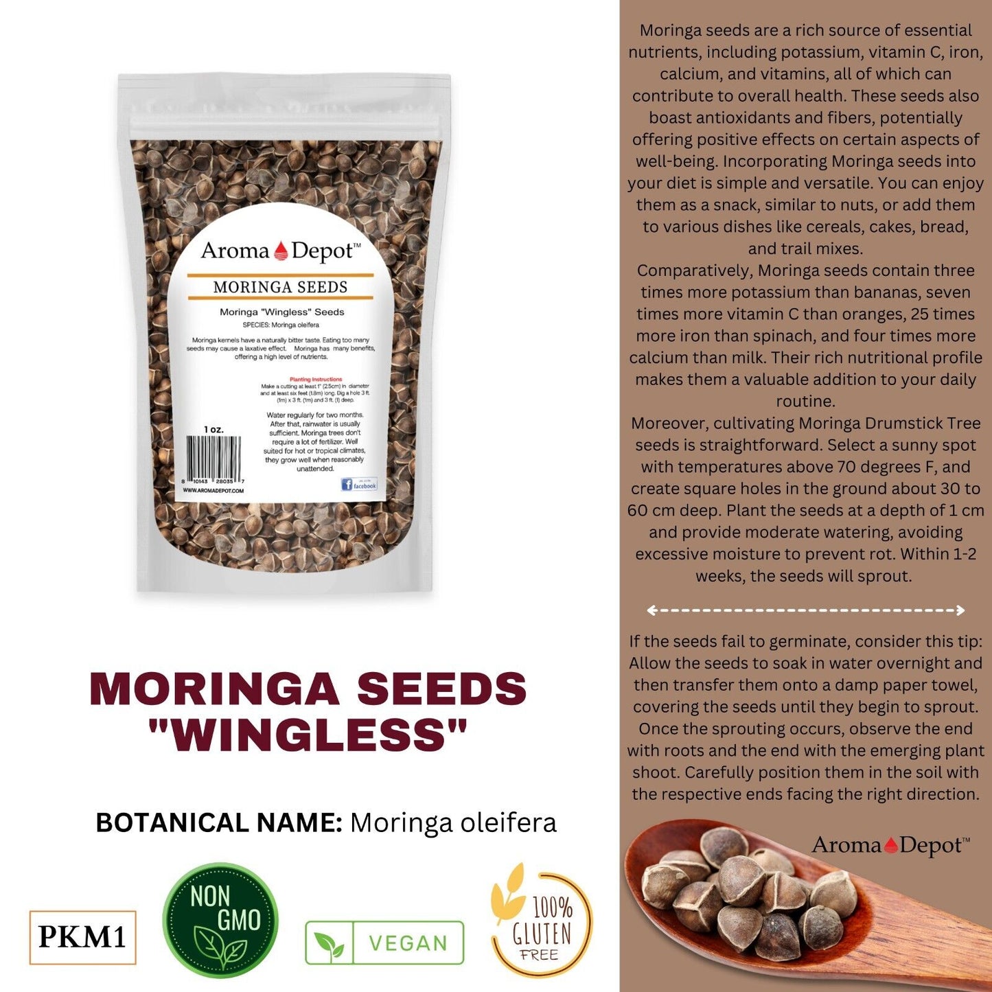 Moringa Seeds Wingless Semillas De Moringa Pepa Oleifera Approx. 100 Seeds