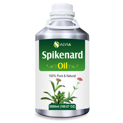 Spikenard Marigold (Nardostachys)