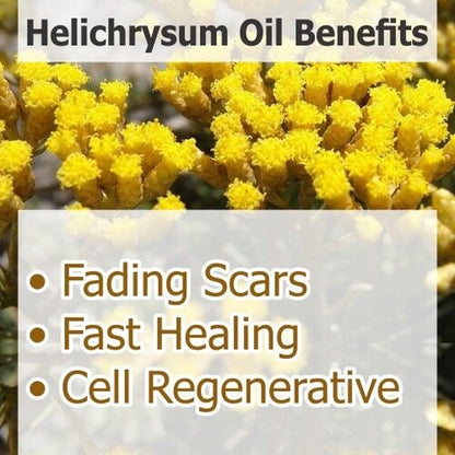 Salvia Helichrysum (Helichrysum) 100% Pure & Natural Essential Oil - 30Ml