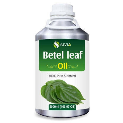 Betel Leaf (Piper Betle) 100% Pure & Natural Oil - {10Ml - 25 L}.