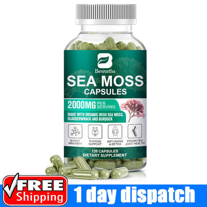 Organic Sea Moss Capsules, Irish Sea Moss, Bladderwrack & Burdock Root 120 Pills