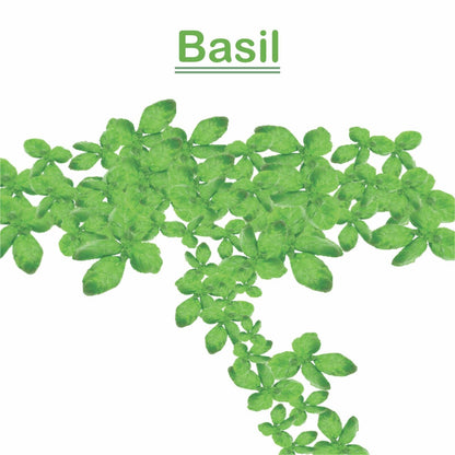 Basil (Ocimum Basilicum) 100% Pure & Natural Essential Oil - [10Ml-5000Ml].