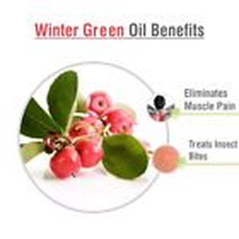 Winter Green (Gaultheria Procumb)100% Pure & Natural Essential Oil [10Ml-5000Ml]