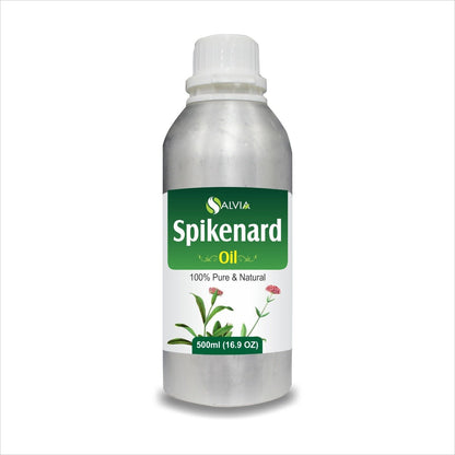 Spikenard Marigold (Nardostachys)