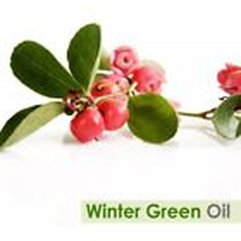 Winter Green (Gaultheria Procumb)100% Pure & Natural Essential Oil [10Ml-5000Ml]