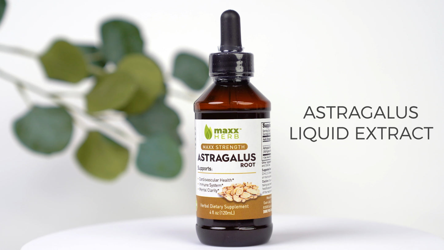 Astragalus Root Liquid Extract for Immune Support & Heart Health, 4Oz