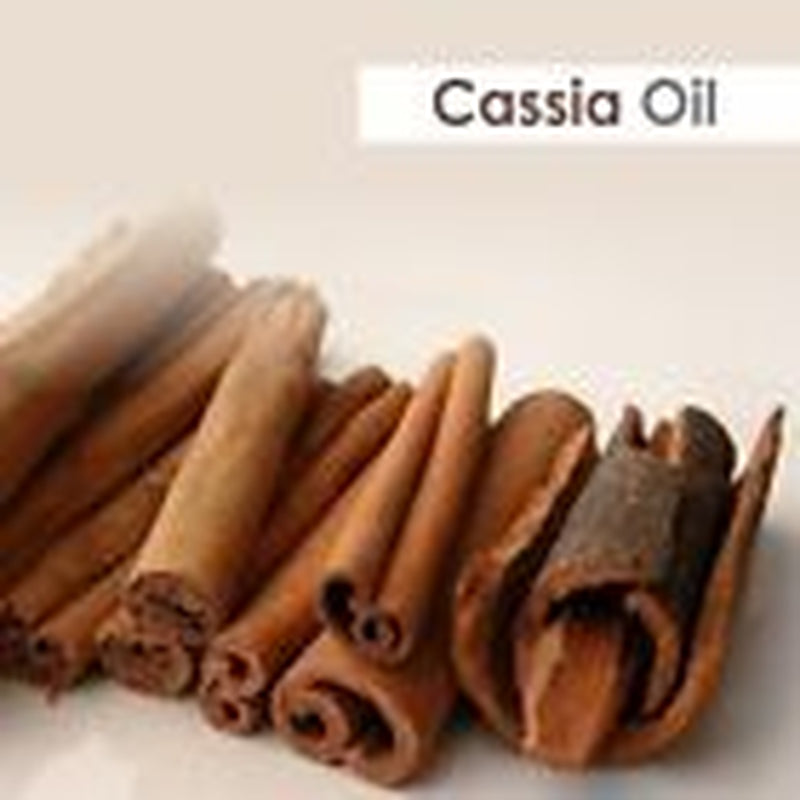 Salvia Cassia (Cassia) 100% Natural & Pure Carrier Oil - 30Ml