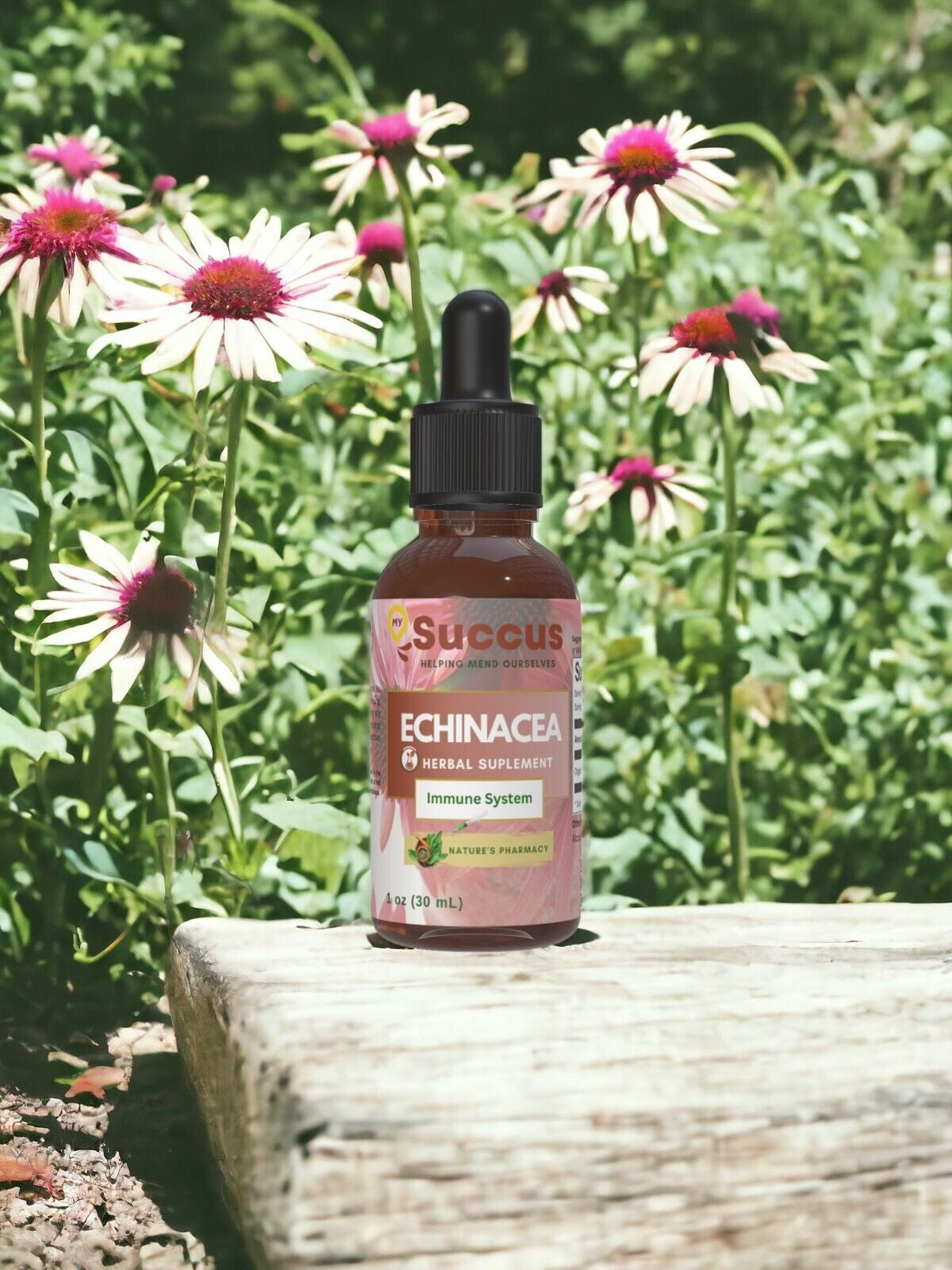 Echinacea Tincture - (Immune System)