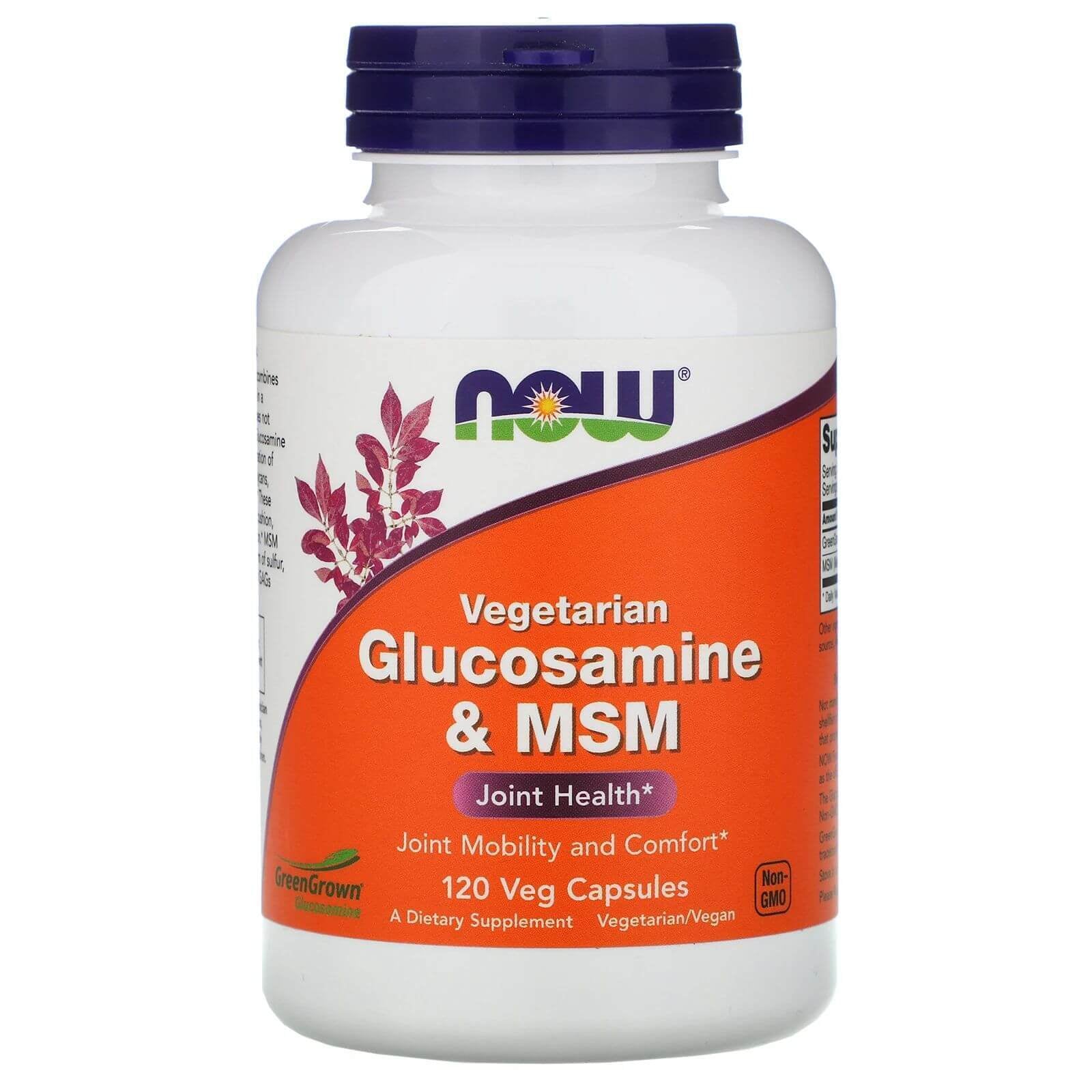 Vegetarian Glucosamine and MSM Vegetarian Capsules Joint Health