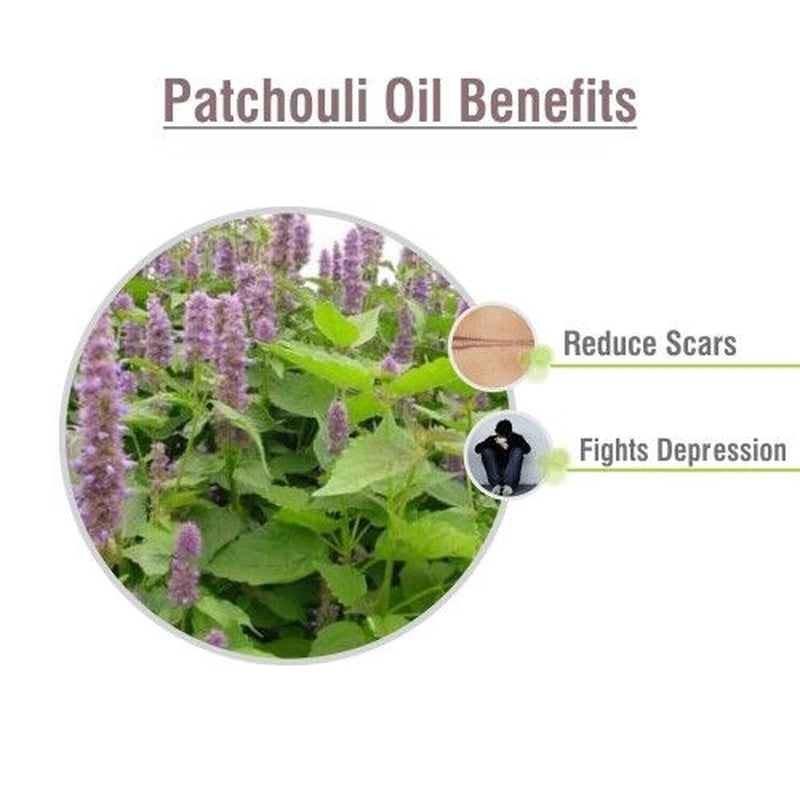 Patchouli (Pogostemon Cablin) 100% Pure & Natural Essential Oil - [10Ml - 25 L].