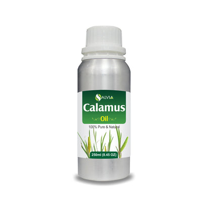 Calamus (Acorus Calamus) - 100% Pure & Natural Essential Oil - [10Ml - 25 L].