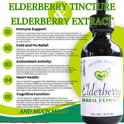 Elderberry Non-Alcohol Sambucus Nigra Extract Liquid Herb Drops Immunity Aid 2Oz