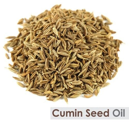 Cumin Seed (Cuminum Cyminum) 100% Pure & Natural Essential Oil - [10Ml - 25 L].