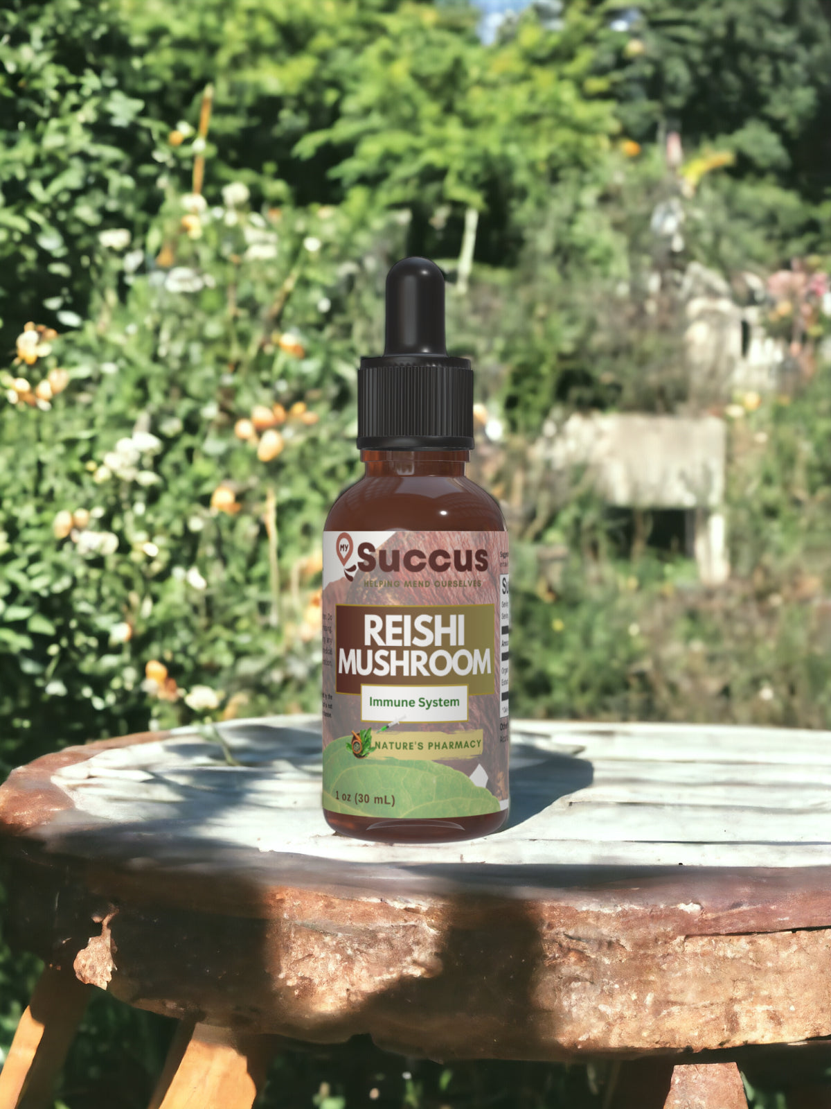 Reishi Mushroom Tincture - (Immune System)