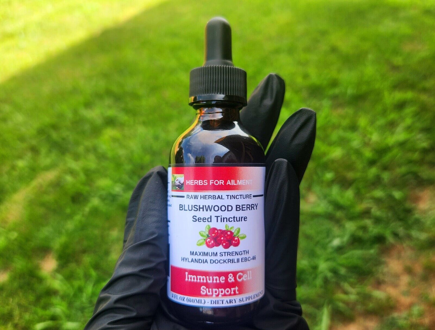 Blushwood Berry EBC46 Tincture/Immun