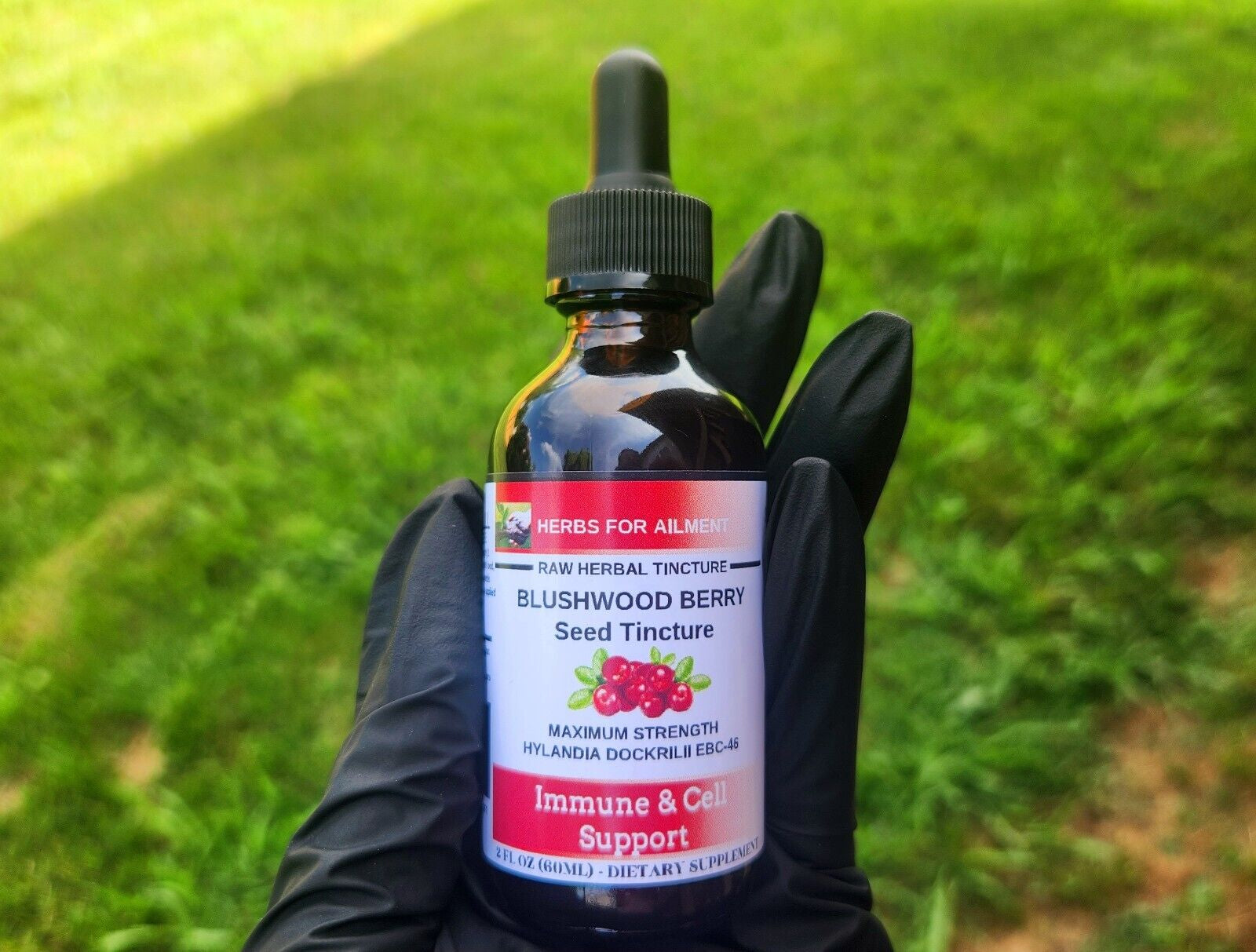 Blushwood Berry EBC46 Tincture/Immun