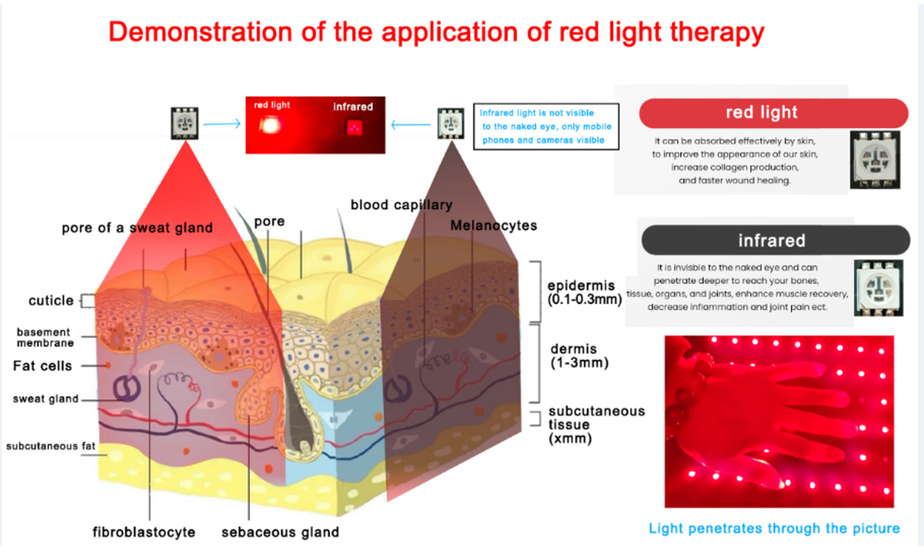 Red Light Terapy for Body Pain Reliefincrease Metabolism Relaxing Muscles