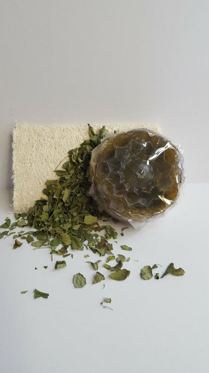 Moringa Leaf Loofah Soap 3 Pc Set - All Natural - Made Fresh on Demand!