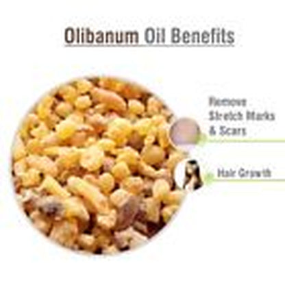 Olibanum (Boswellia Serrata) 100% Pure & Natural Essential Oil - [10Ml - 25 L].