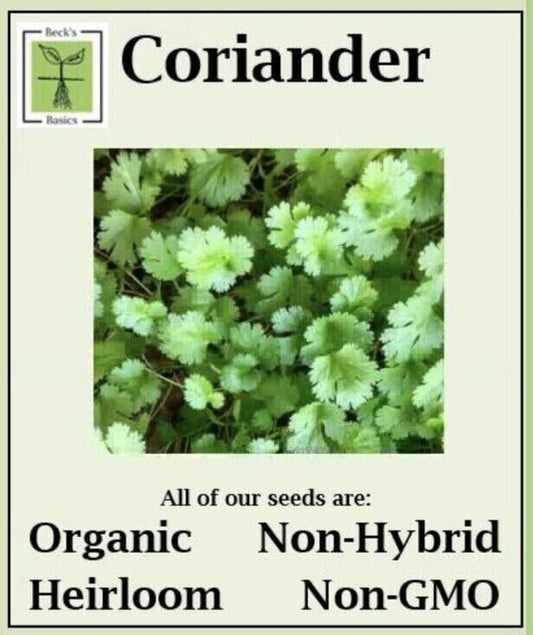 Coriander Seeds - ORGANIC, NON-GMO, NON-HYRID, HEIRLOOM SEEDS