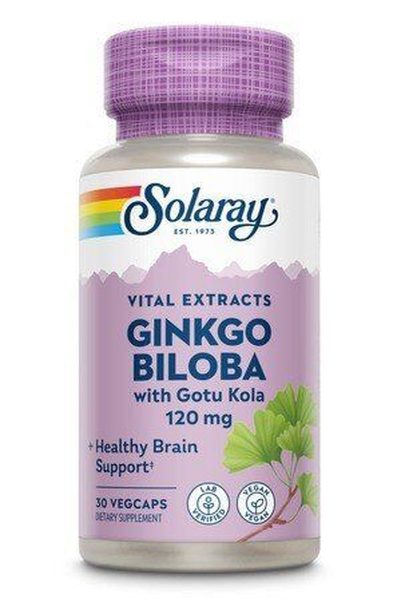 One Daily Ginkgo Biloba Extract 30 Vegcaps