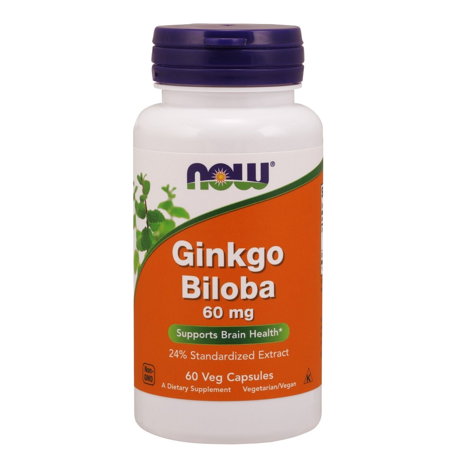 NOW Foods Ginkgo Biloba, 60 Mg, 60 Veg Capsules