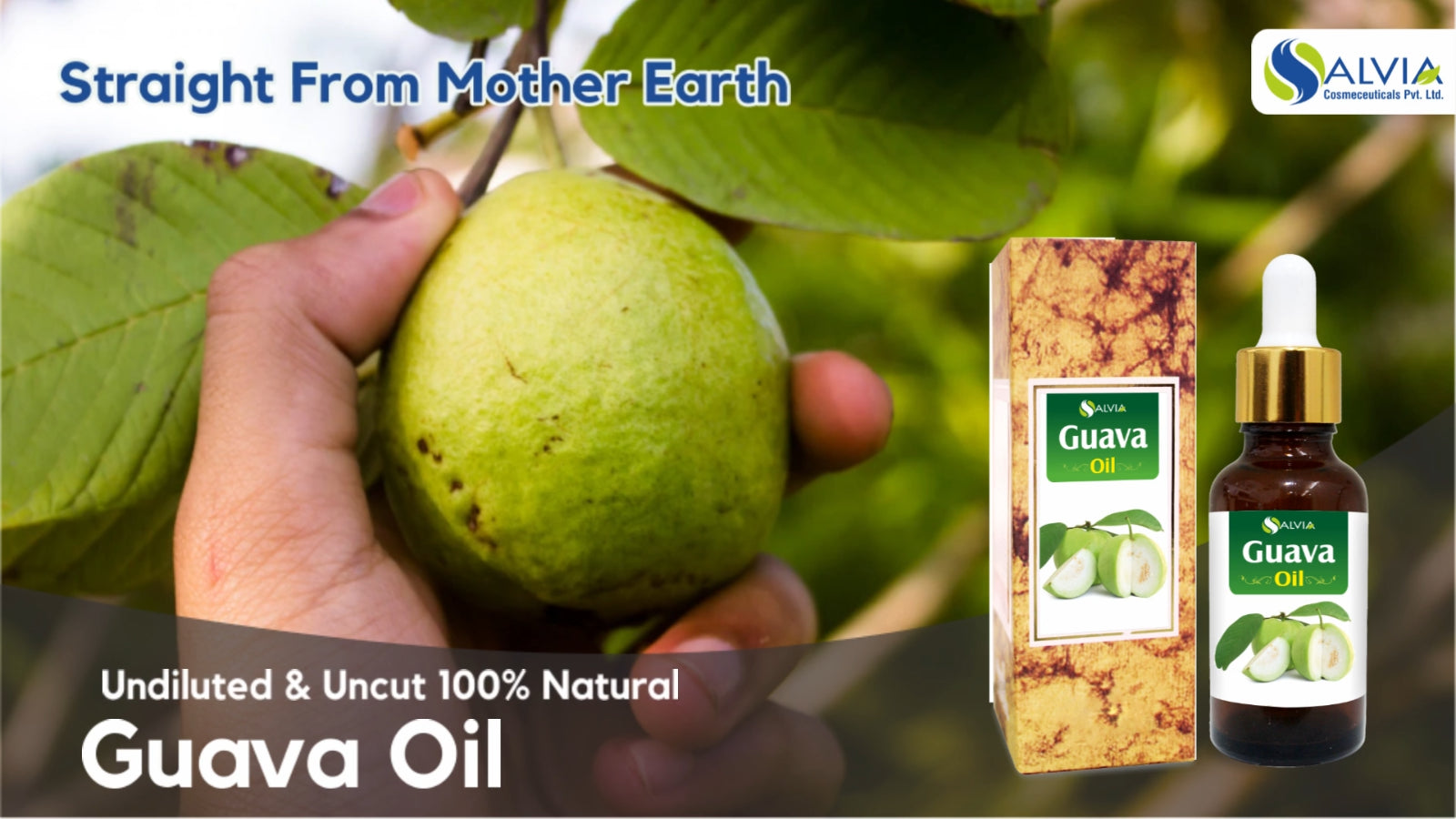 Guava (Psidium Guajava) 100% Pure & Natural Carrier Oil - {10Ml - 25 L}.