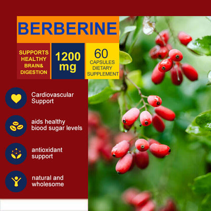 Berberine HCL 1200Mg Cholesterol Blood Sugar Health General Wellness 60/120 Pcs