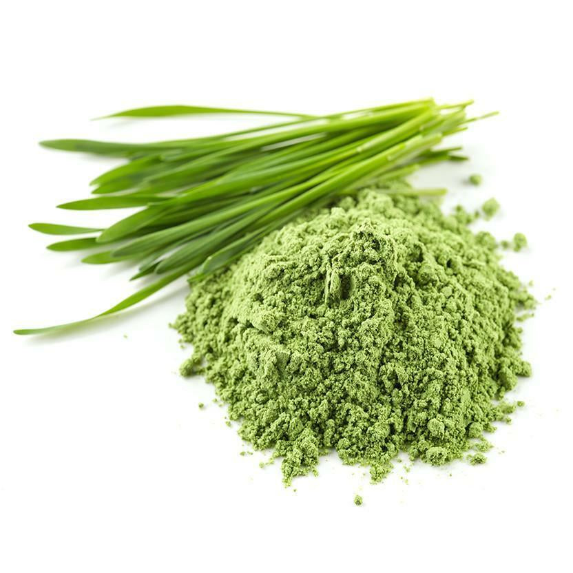 Organic Wheatgrass Powder , Super Food, Green Wheat Grass 1.1LB by FDC Nutrition