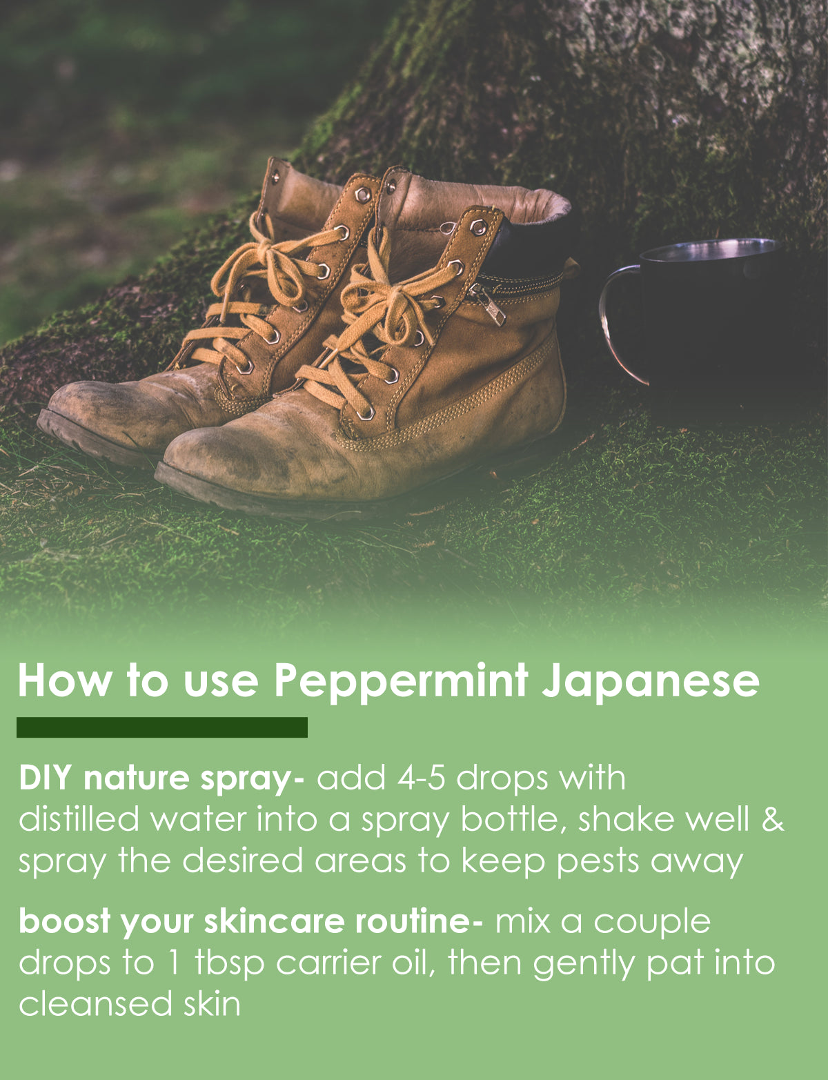 Peppermint Essential Oil Pure Natural Sizes up to 1 Gallon