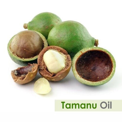 Tamanu (Calophyllum Inophyllum) 100% Pure & Natural Carrier Oil-[10Ml - 25 L].