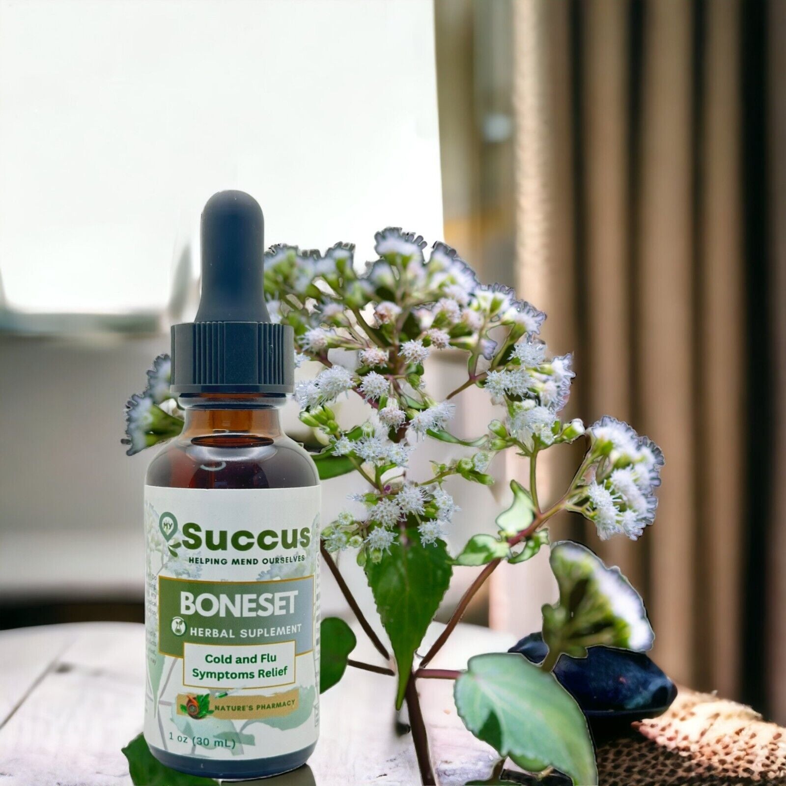 Boneset Tincture - Immune System