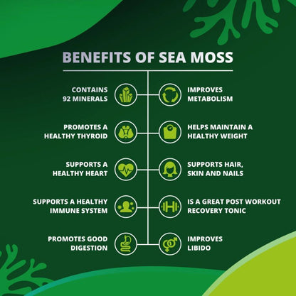 True Sea Moss & Elderberry Gummies - Adults & Children